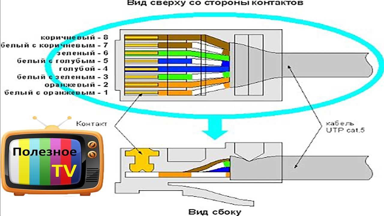 Как обжать сетевой кабель без инструмента (отверткой)