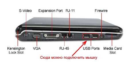 Как подключить беспроводную мышь к ноутбуку или компьютеру?