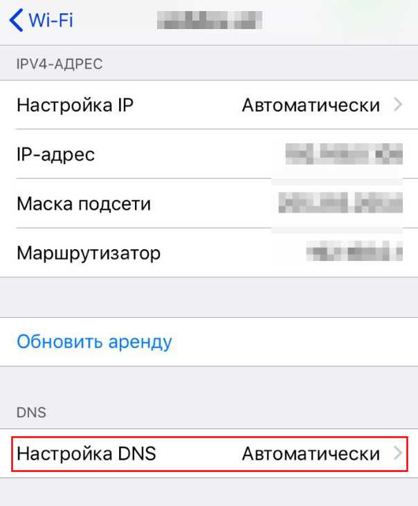 2. Проверьте скорость работы сервера